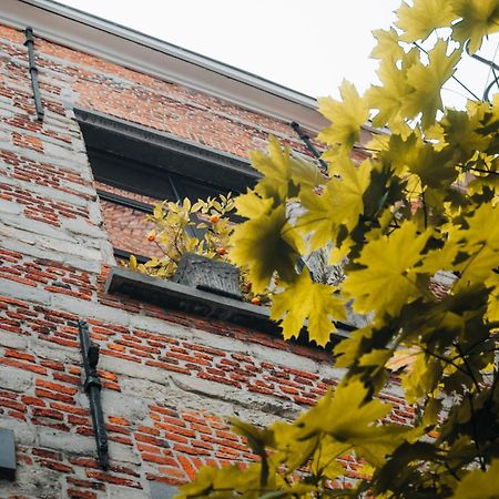 Duplex In Historical Centre With Private Courtyard Apartment Antwerpen Bagian luar foto