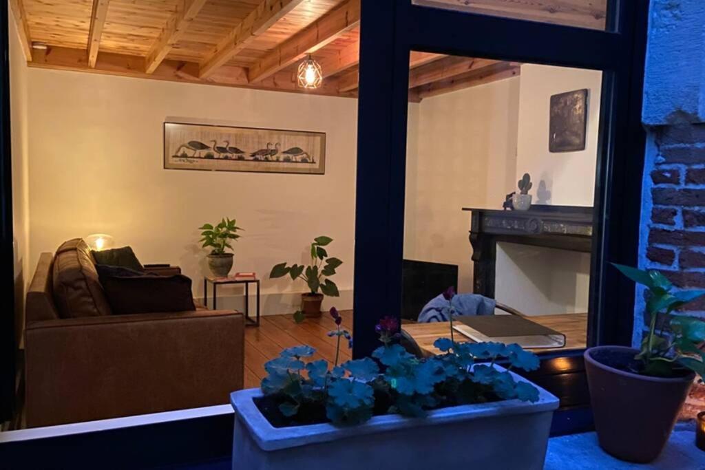 Duplex In Historical Centre With Private Courtyard Apartment Antwerpen Bagian luar foto