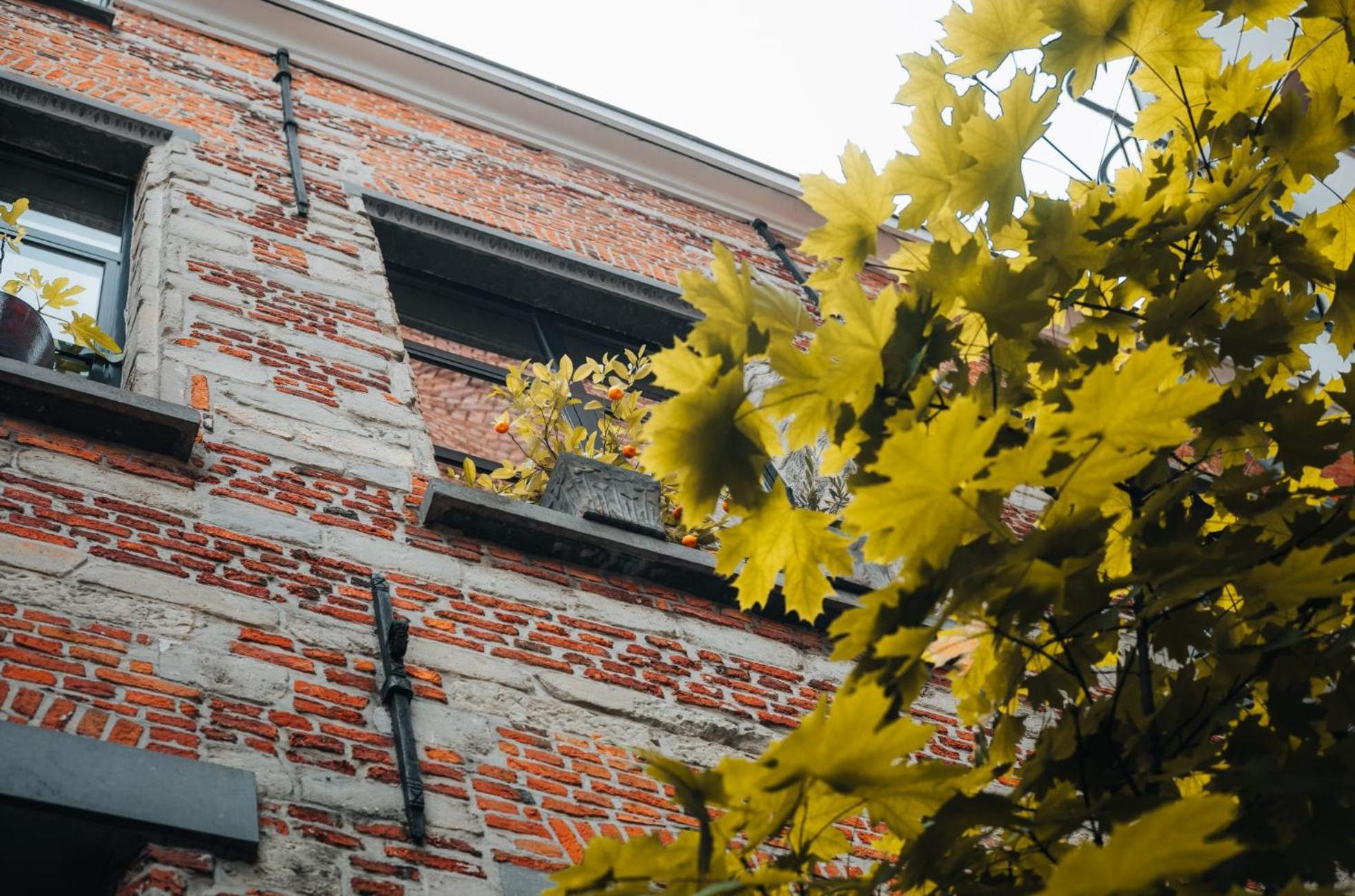 Duplex In Historical Centre With Private Courtyard Apartment Antwerpen Bagian luar foto